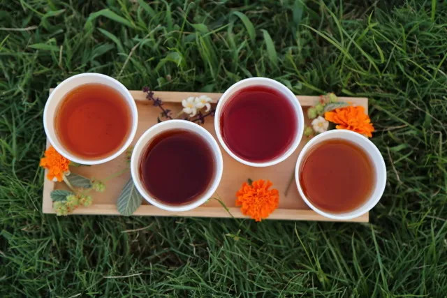 a sample plate of four teas
