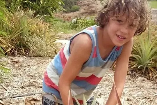 a young boy standing next to a palm tree
