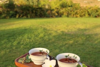 a cup of coffee sitting on top of a grass covered field